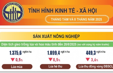 Infographic tình hình kinh tế – xã hội tháng Tám và 8 tháng năm 2025